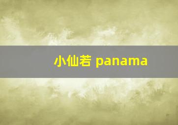 小仙若 panama